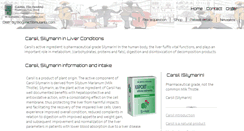 Desktop Screenshot of carsil.com