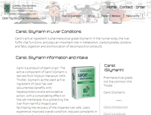 Tablet Screenshot of carsil.com